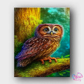 Paint By Numbers -Owl