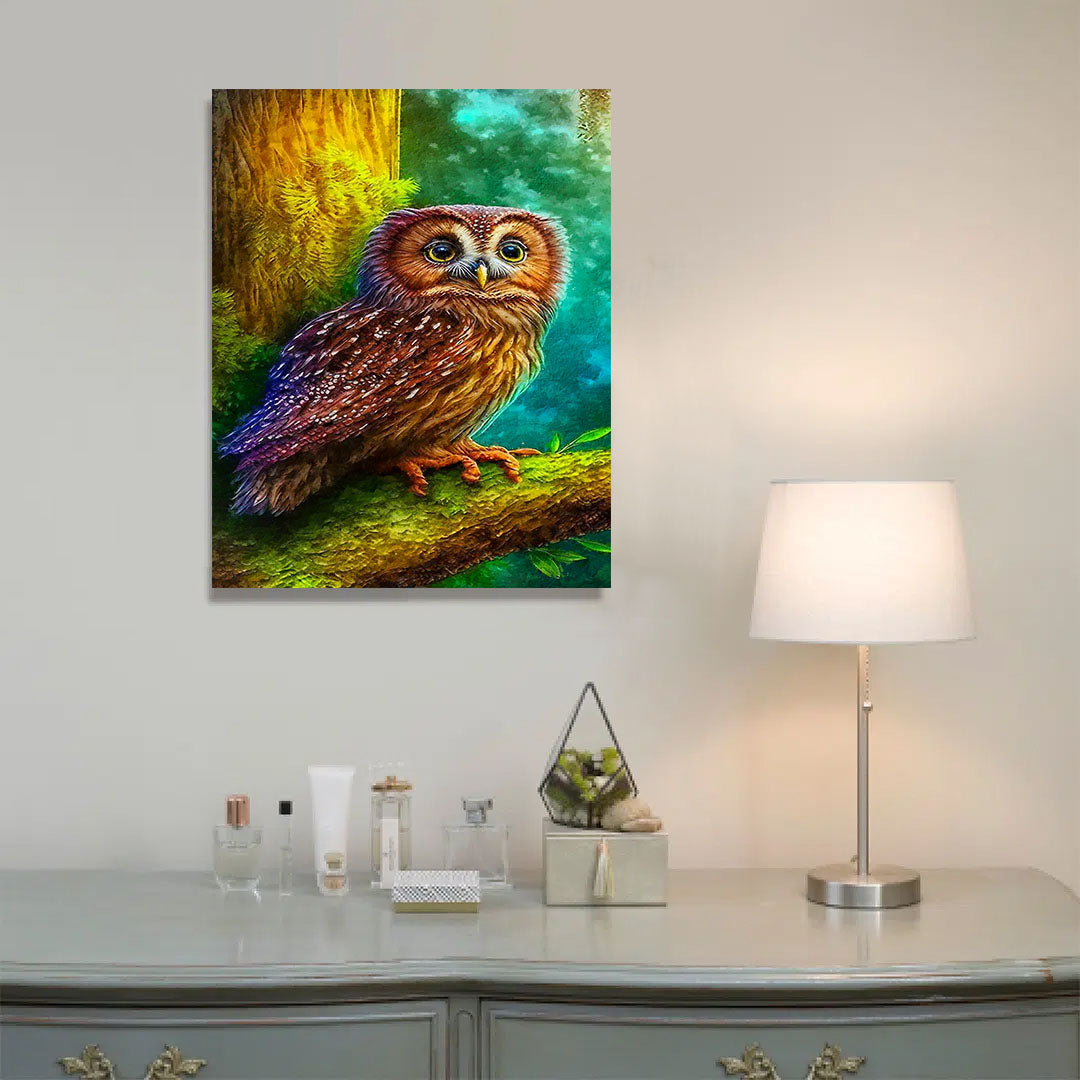 Paint By Numbers -Owl