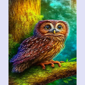 Paint By Numbers -Owl