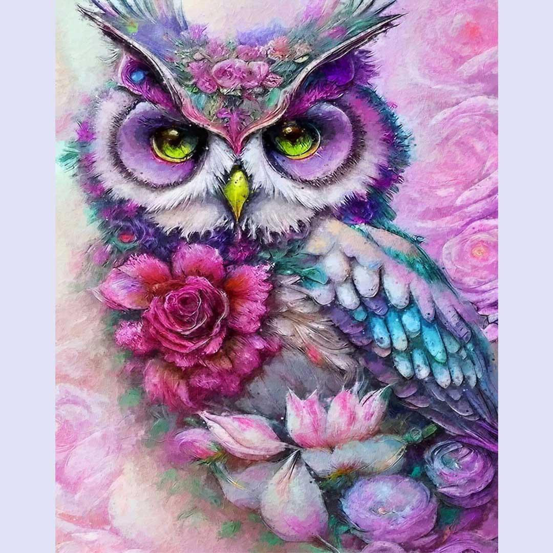 Paint By Numbers -Owl