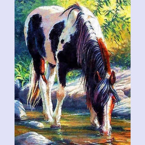 Paint By Numbers -Horse