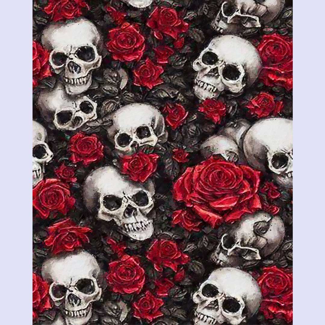 Paint By Numbers -Skull and Roses