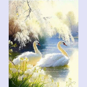 Paint By Numbers -Swan