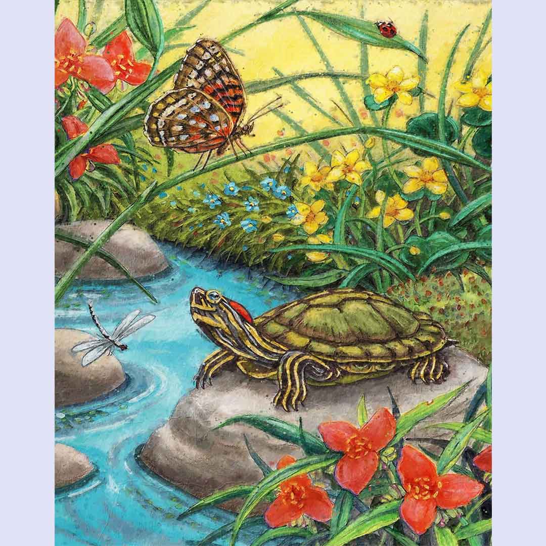 Paint By Numbers -Turtle and Butterfly