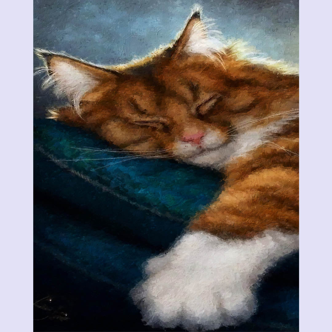 Paint By Numbers -Cat