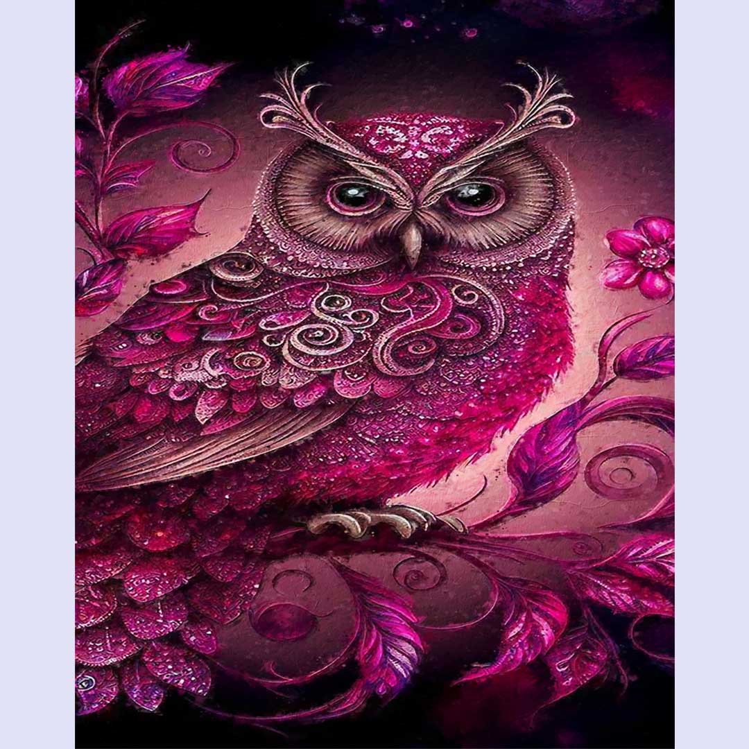 Paint By Numbers -Owl