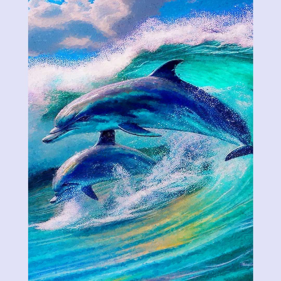 Paint By Numbers -Dolphin