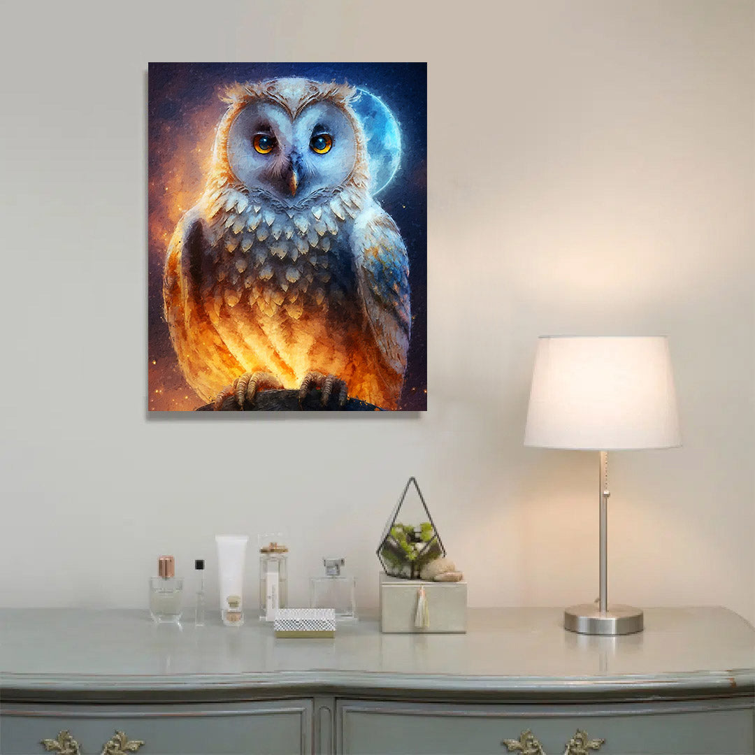 Paint By Numbers -Owl