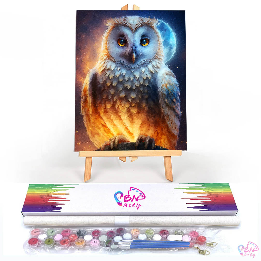 Paint By Numbers -Owl