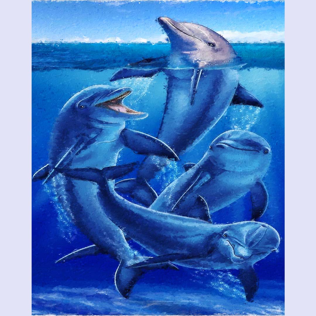 Paint By Numbers -Dolphin