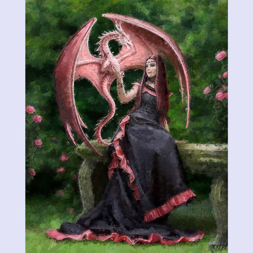 Paint By Numbers -Witch and Dragon