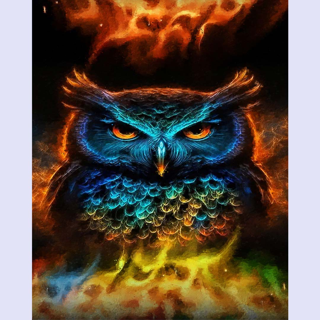 Paint By Numbers -Owl