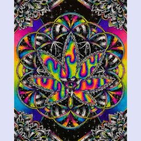 Paint By Numbers -Kaleidoscope