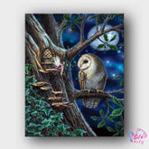 Paint By Numbers -Owl and Elve