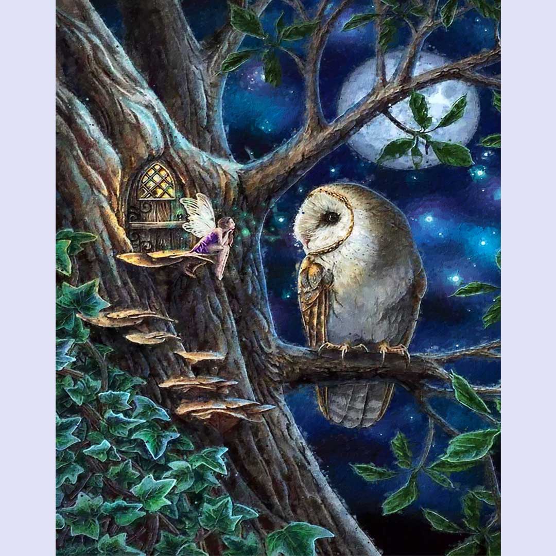 Paint By Numbers -Owl and Elve