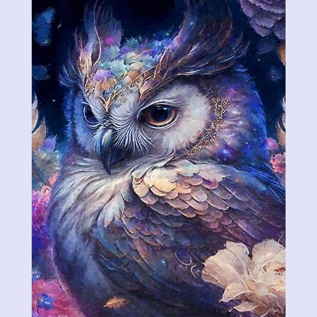 Paint By Numbers - Owl